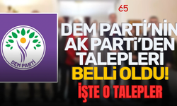 DEM Parti’nin AK Parti’den Talepleri Belli Oldu!