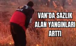 Van'da korkutan yangın!  Van'da sazlık alan yangınları arttı!