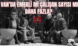 7 ilde emekli sayısı çalışan sayısını geçti! Van'da emekli sayısı mı çalışan sayısı mı fazla?