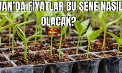 Kayısı ve elma fideleri yok satıyor! Van’da fide satışları başladı!