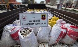 İnci Kefali’ni Koruma Nöbeti Sürüyor!