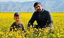 Cilo Dağı Eteklerinde Bahar ve Kış Bir Arada