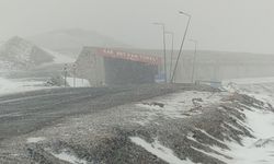 Van'da Lapa Lapa Kar Yağdı!
