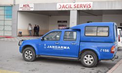 Yabani mantar zehirledi:  Çok sayıda kişi hastaneye kaldırıldı