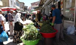 Van’ın Dağları Şifa Saçıyor