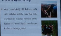 Van’da Sırları Açığa Çıkarılıyor, Kurtulabilecekler Mi?