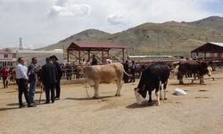 Van’da Kurbanlık Pazarı Hareketlendi