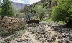 Van'da Sel Felaketi: Mezra Yolu Kapandı, Tarım Arazileri Zarar Gördü