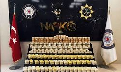 Bakanlık açıkladı! Van'da dev operasyon!