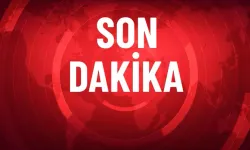 PFDK Açıkladı! Vanspor ve Elazığspor'a Ceza Yağdı