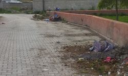 Van'da Bir Mahalle Göz Göre Göre Çöplüğe Dönüştü!