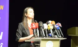 DEM Parti Eş Genel Başkanından Çarpıcı Zeydan Açıklaması!