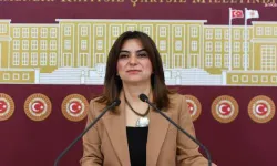 Kayyumlar Bitiyor mu! Van’a Atanan Kayyuma Ne Olacak? İşte Dem Partiden O Açıklama Geldi!