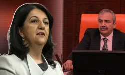Sırrı Süreyya Önder'in yerine Van Milletvekili Geçecek!