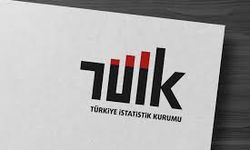 Van’da Kadınların Üniversite Mezunu Oranı Açıklandı!
