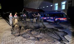 Muradiye'de Kaçak Avcılığa Geçit Yok: 1 Ton Canlı İnci Kefali Kurtarıldı