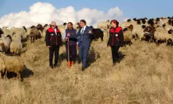 Van'da Koyununu Al, Sürünü Kur 2026'ya Kadar Sürecek!