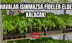 Van’da fide sezonu başladı ama soğuk hava talepleri düşürdü