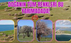 Van'da Doğanın Tüm Renkleri Bu Yarımadada!