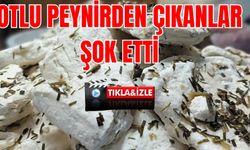 Otlu Peynirde Şok Görüntü: Van’ın İsmi Kullanıldı, Tüy Çıktı