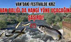 Van'da festival krizi: Van Balığı hangi yöne uçacağını şaşırdı!