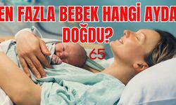 Van’da Hangi Ayda Daha Fazla Bebek Doğdu? Zirve Hangi Ayda? İşte Detaylar...