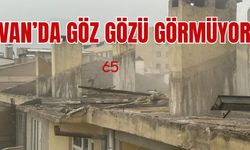 Van'da göz gözü görmüyor!