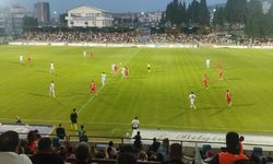 Menemen FK Karşısında Vanspor Farkı Açtı