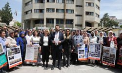 Van’da Vesayet Reddedildi, Demokrasi Vurgusu Yapıldı!