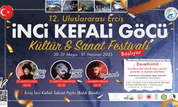Van'da inci kefali festivali başlıyor