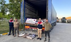 Van’da 60 kişi yakalandı