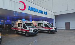 Van Milletvekili Dindar'ın Kazasıyla İlgili DEM Parti'den İlk Açıklama