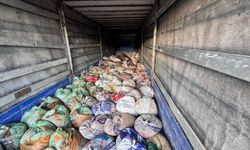 Kaçak Avcılığa Geçit Yok: Van’da 22 Ton İnci Kefali Ele Geçirildi