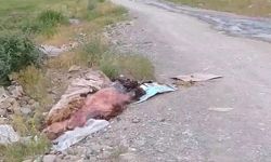 Vatandaşların Bu Yaptıkları Pes Dedirtti! Başka Yer Mi Yoktu