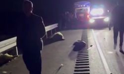 Van’da Korkunç Kaza!