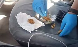 Dolandırıcıların Bu Yaptıkları Pes Dedirtti Artık!