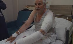 Van’da Korku Dolu Anlar: Ot Biçerken Kurdun Saldırısına Uğradı!