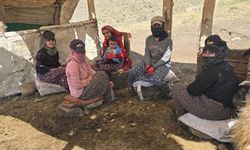 Van'da Kiraladıkları Yayla, Ailelerinin Geçim Kaynağı Oldu