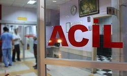 Van’da 20 Haziran'dan Sonra Acile Gidecekler Dikkat