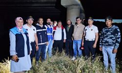 Van ve Bitlis’te inci kefali için kaçak av denetimi