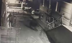 Ayı Vatandaşlardan, Vatandaşlar Ayıdan Kaçtı