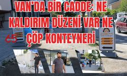 Esnafın Sesi Yükseliyor: Van'daki O Cadde Düzenleme Bekliyor!