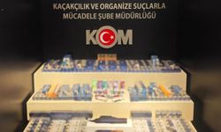 Van’da Şok Baskın