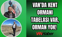 Türkiye’nin En Büyük Gölü Tehlikede: Van Ormansız Kaldı!