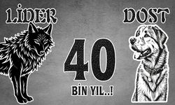 Kurt Liderliğin, Köpek Sadakatin Simgesi… Peki!
