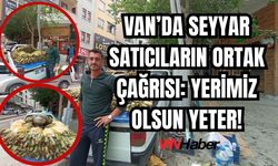 Vanlı Seyyar Satıcılar Dertli: Bir Yerimiz Olsa Ne Güzel Olurdu