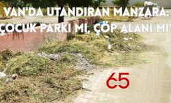 Van'da Utandıran Manzara: Çocuk Parkı mı, Çöp Alanı mı?