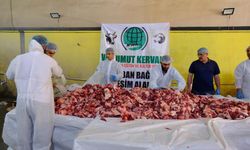 Van’da 19. Geleneksel Toplu Kurban Kesimi Gerçekleştirildi