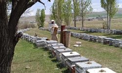 Kırsal Kalkınmaya 38 Milyon TL’lik Hibe Desteği