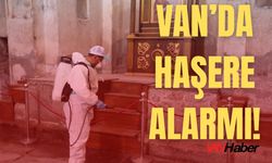Van’ın Gözdesi Akdamar Adası’nda Haşere Alarmı! İlaçlama Seferberliği Başlatıldı!